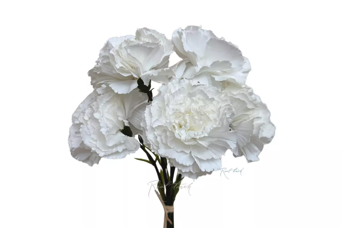 Bouquet of Carnations from 5 pieces - white
