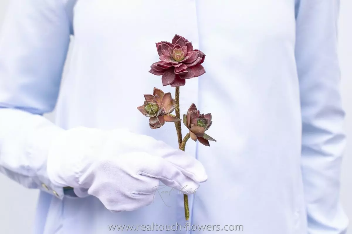 Succulent mini rose - red
