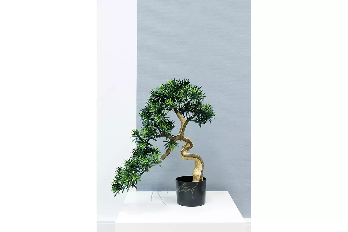 Medium bonsai with leaves (white stem) - green
