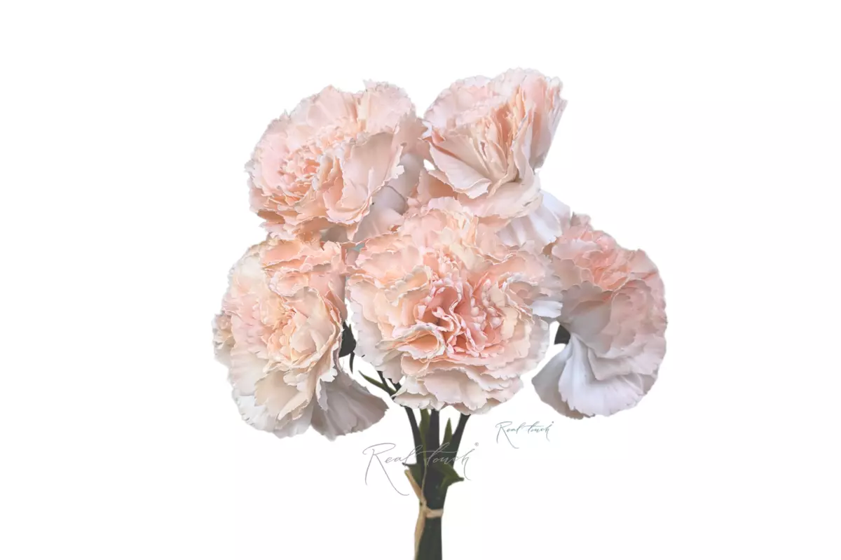 Bouquet of Carnations from 5 pieces - peach