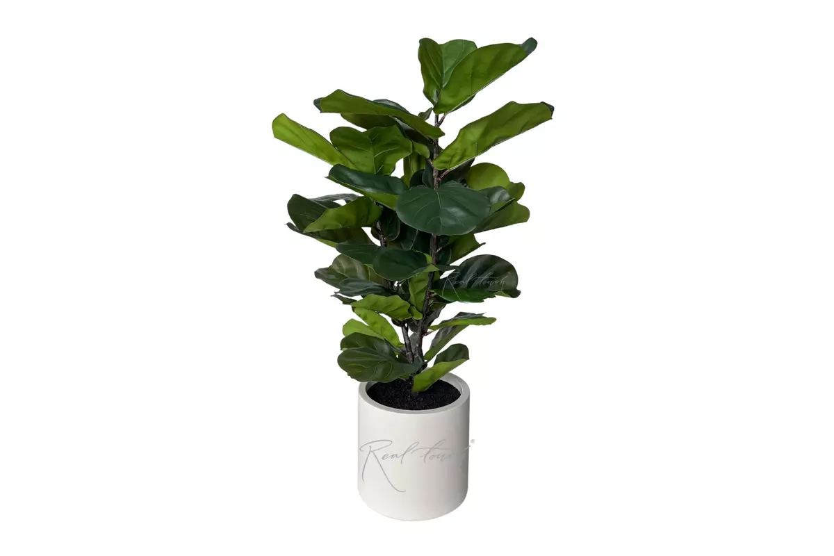 Artificial Ficus Lirata in a decorative pot 100cm - green