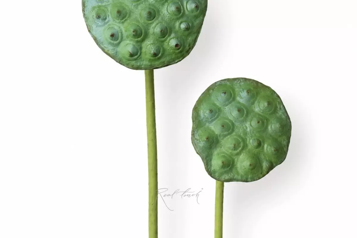 Lotus branch (large) - Dark green