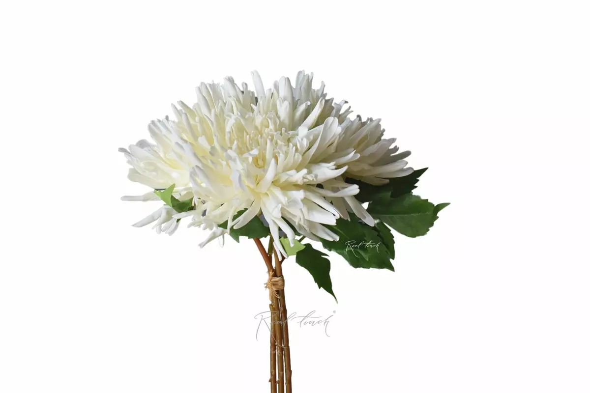 Bouquet of Terry chrysanthemums - white