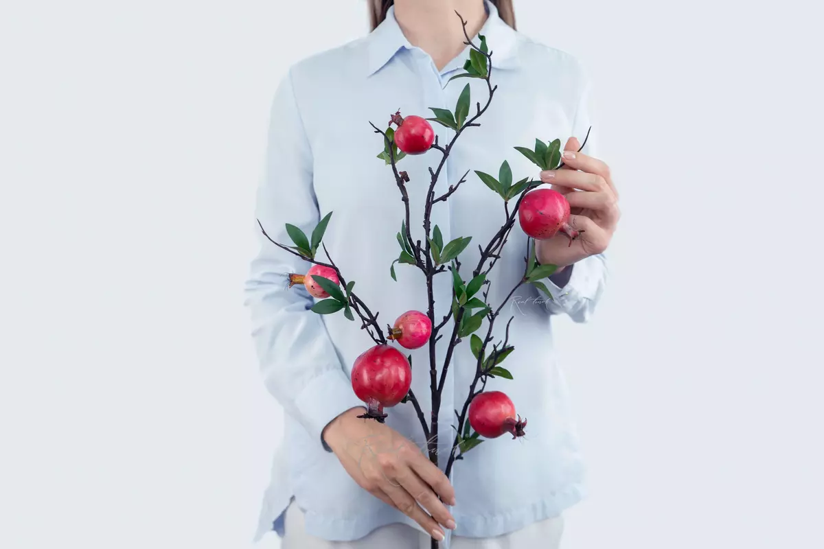 Branch with a pomegranate - red