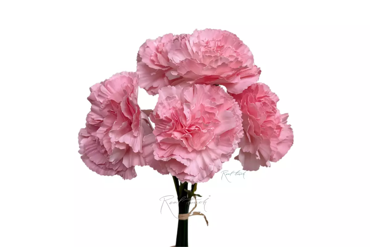 Bouquet of Carnations from 5 pieces - Dark pink