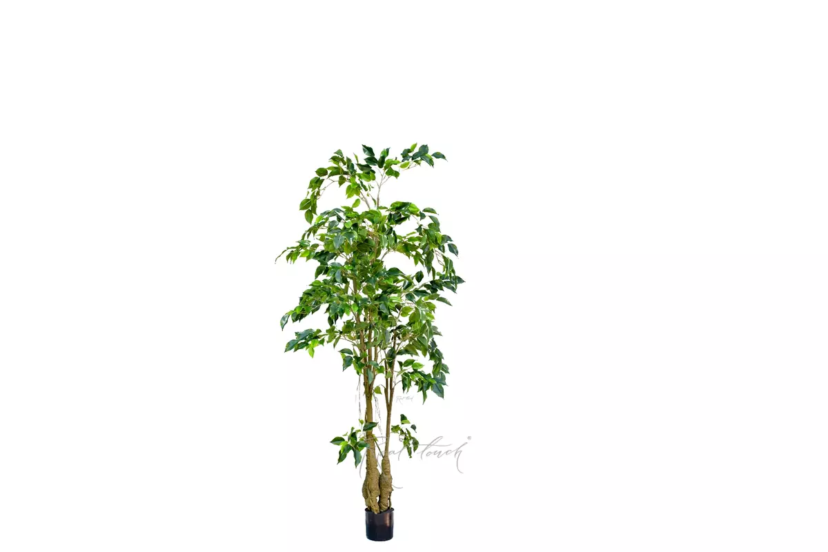 Artificial Ficus Benjamina Weeping fig 150cm - green Artificial Ficus Benjamina Weeping fig 150cm - green