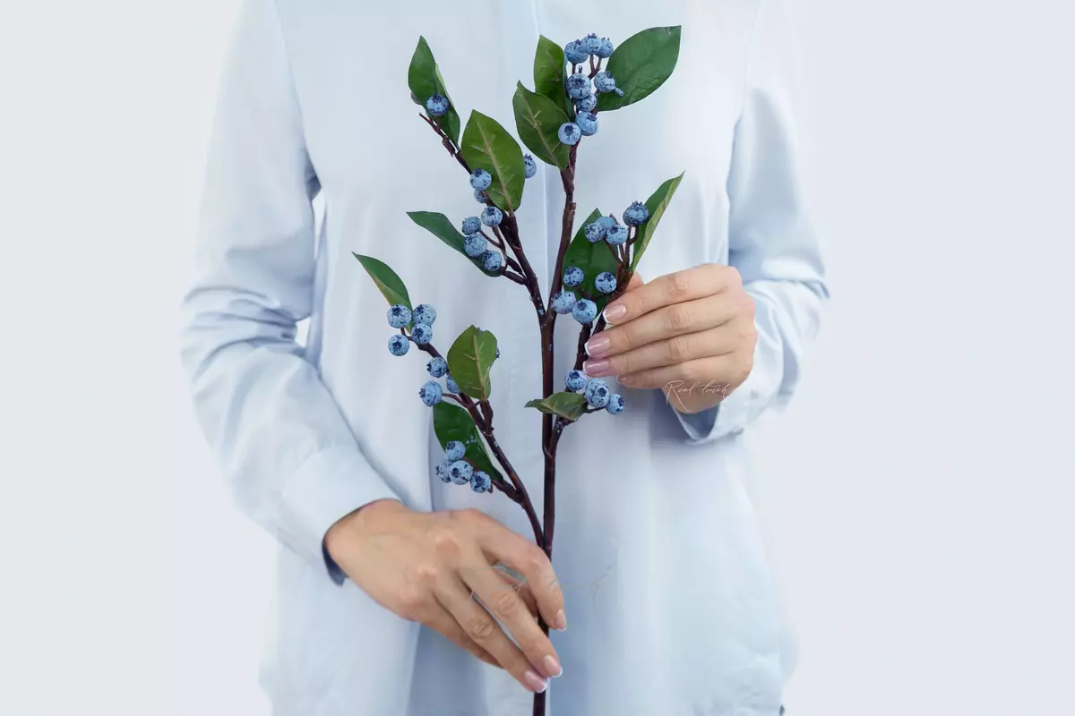 Blueberry - blue