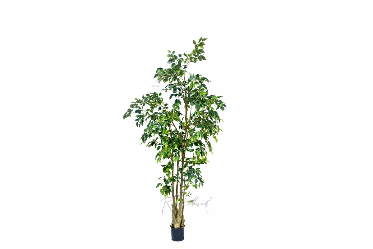 Artificial Ficus Benjamina 240cm - green Artificial Ficus Benjamina 240cm - green