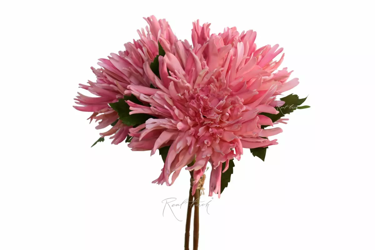 Bouquet of Terry chrysanthemums - pink