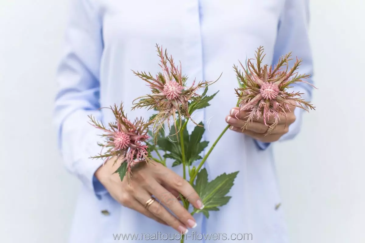 Real Touch Thistle - pink Real Touch Thistle - pink