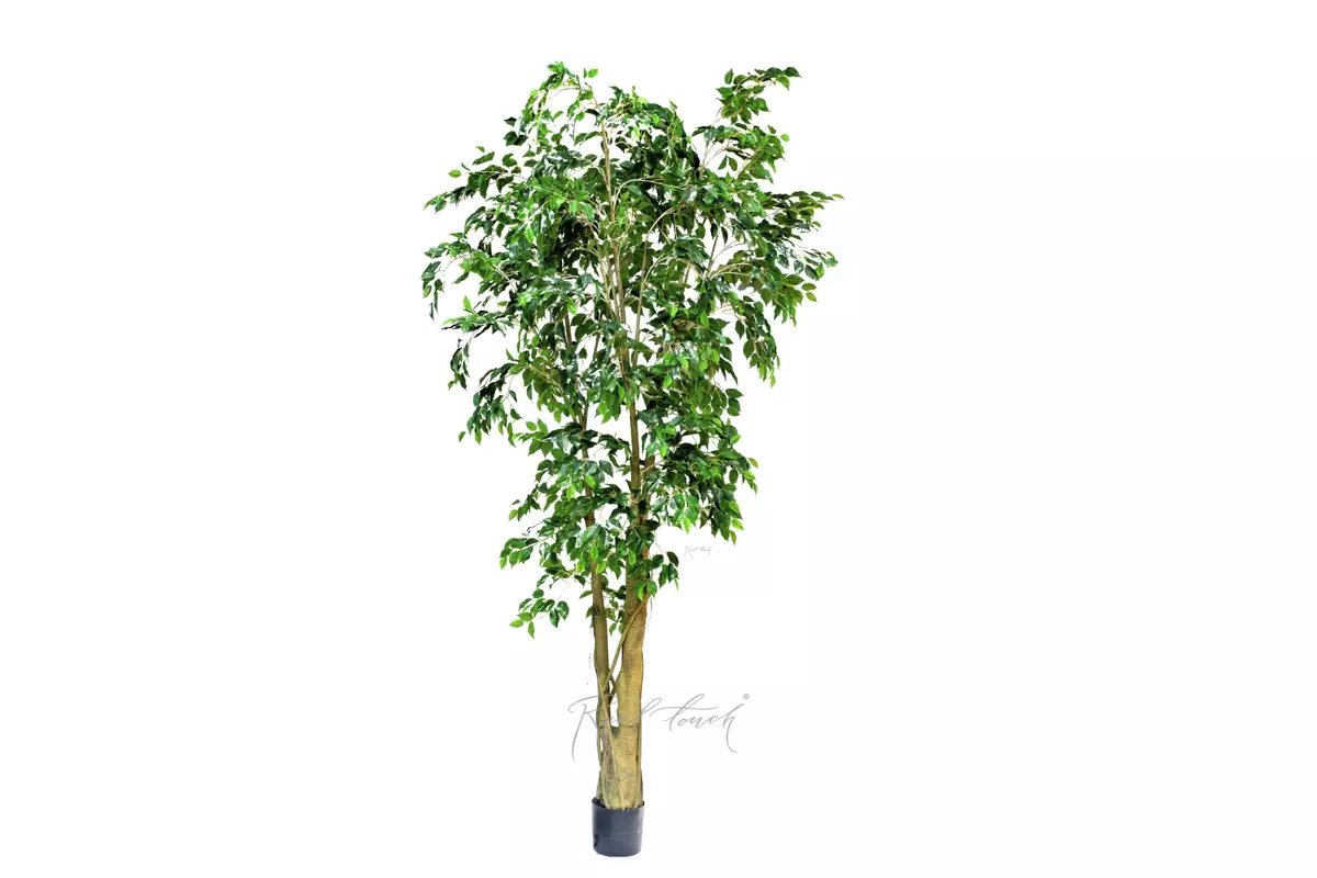 Artificial Ficus Benjamina Weeping fig 300cm - green Artificial Ficus Benjamina Weeping fig 300cm - green