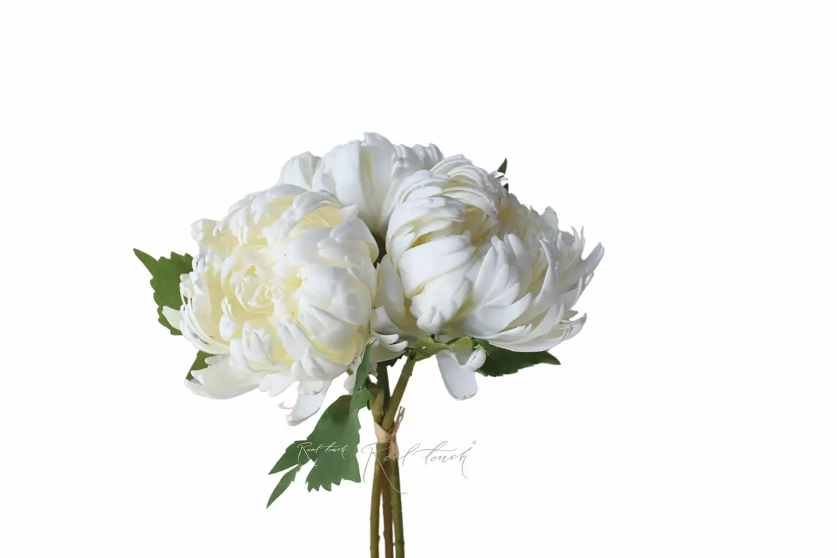 Chrysanthemum Vienna Ball bouquet (3 branches)  - white