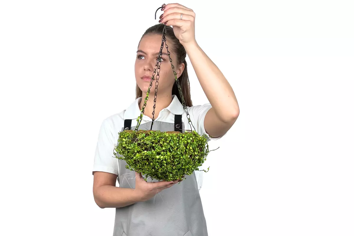 Hanging flowerpot Hemisphere 1# - green