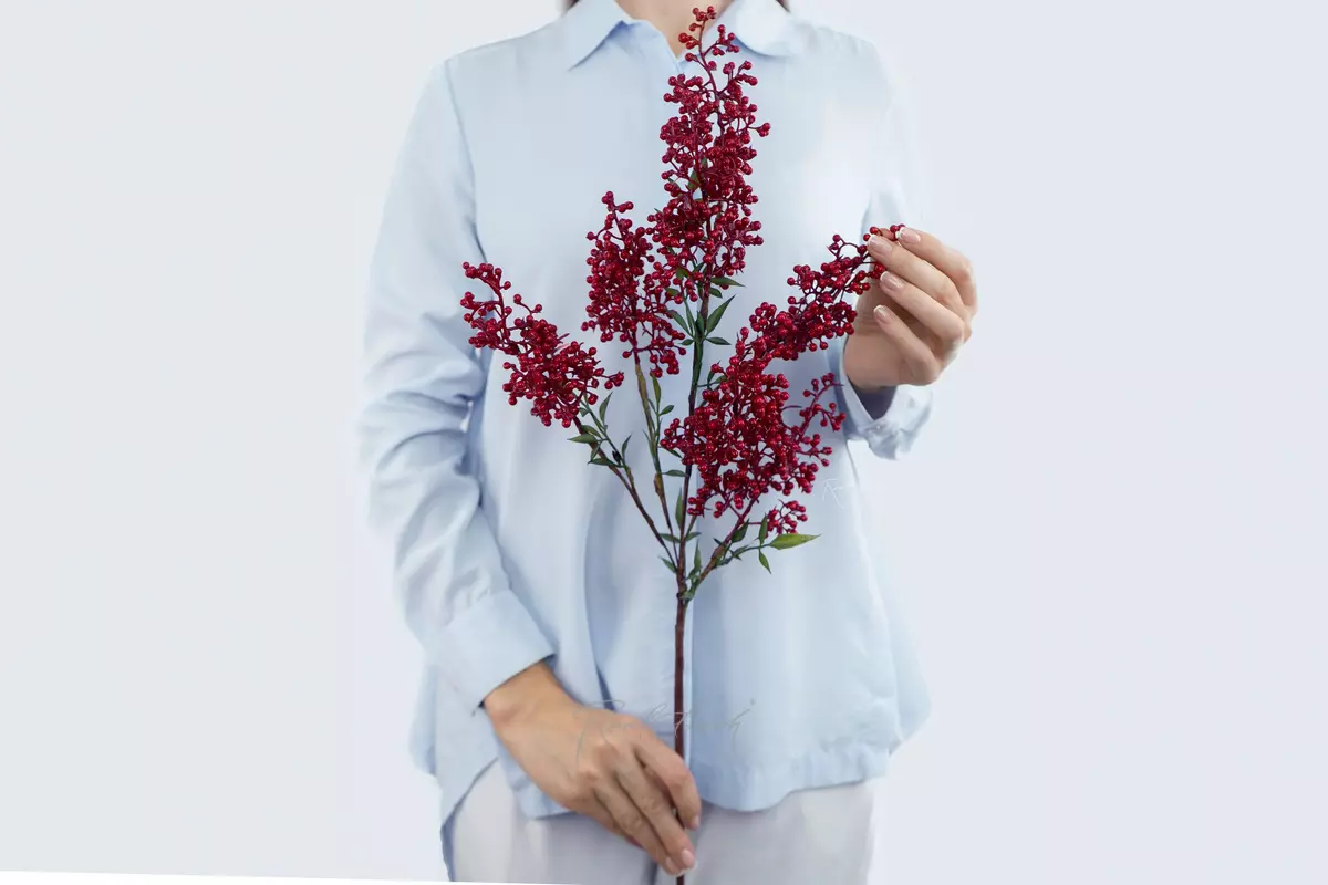 Nandina branch - red