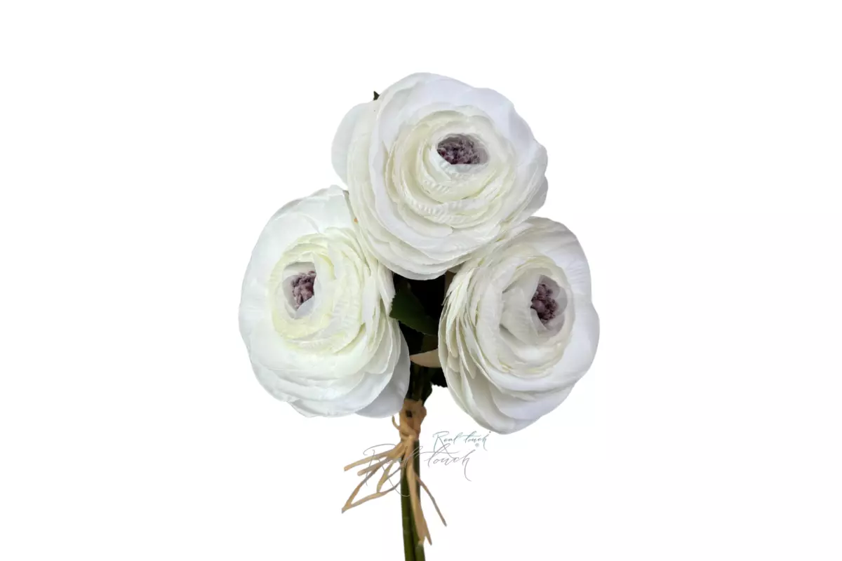 Large Camellia (Japanese) - white