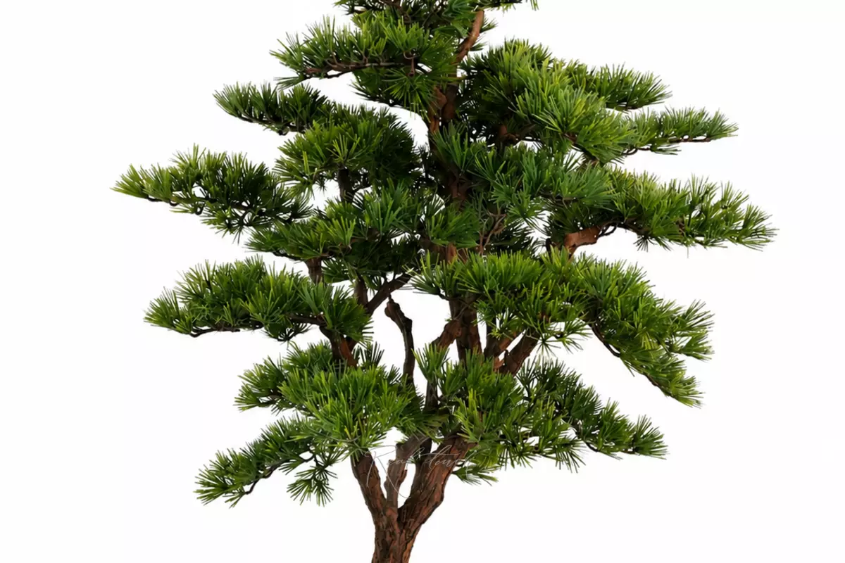 Bonsai tree 100 cm - green Bonsai tree 100 cm - green