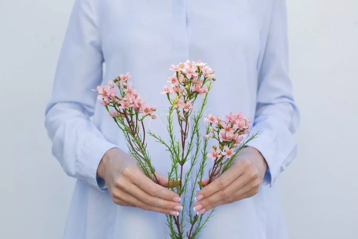 Artificial Wax Flower Chamelacium  - pink