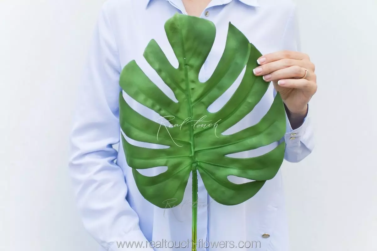Monstera Leaf - green Monstera Leaf - green
