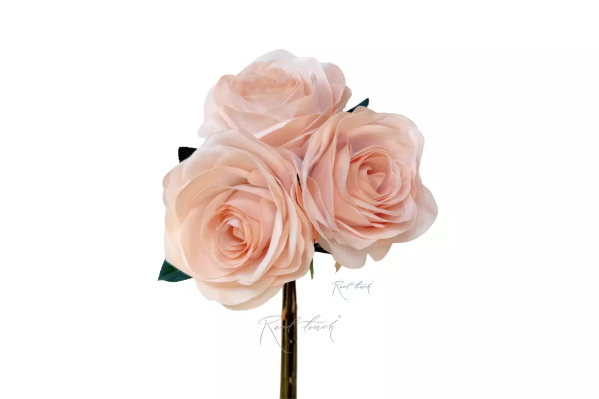 Bouquet of 3 Roses - Beige