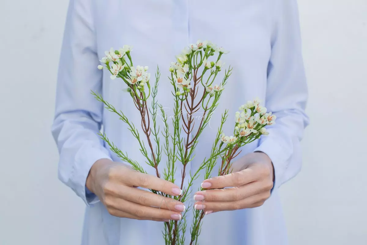 Artificial Wax Flower Chamelacium  - Light yellow