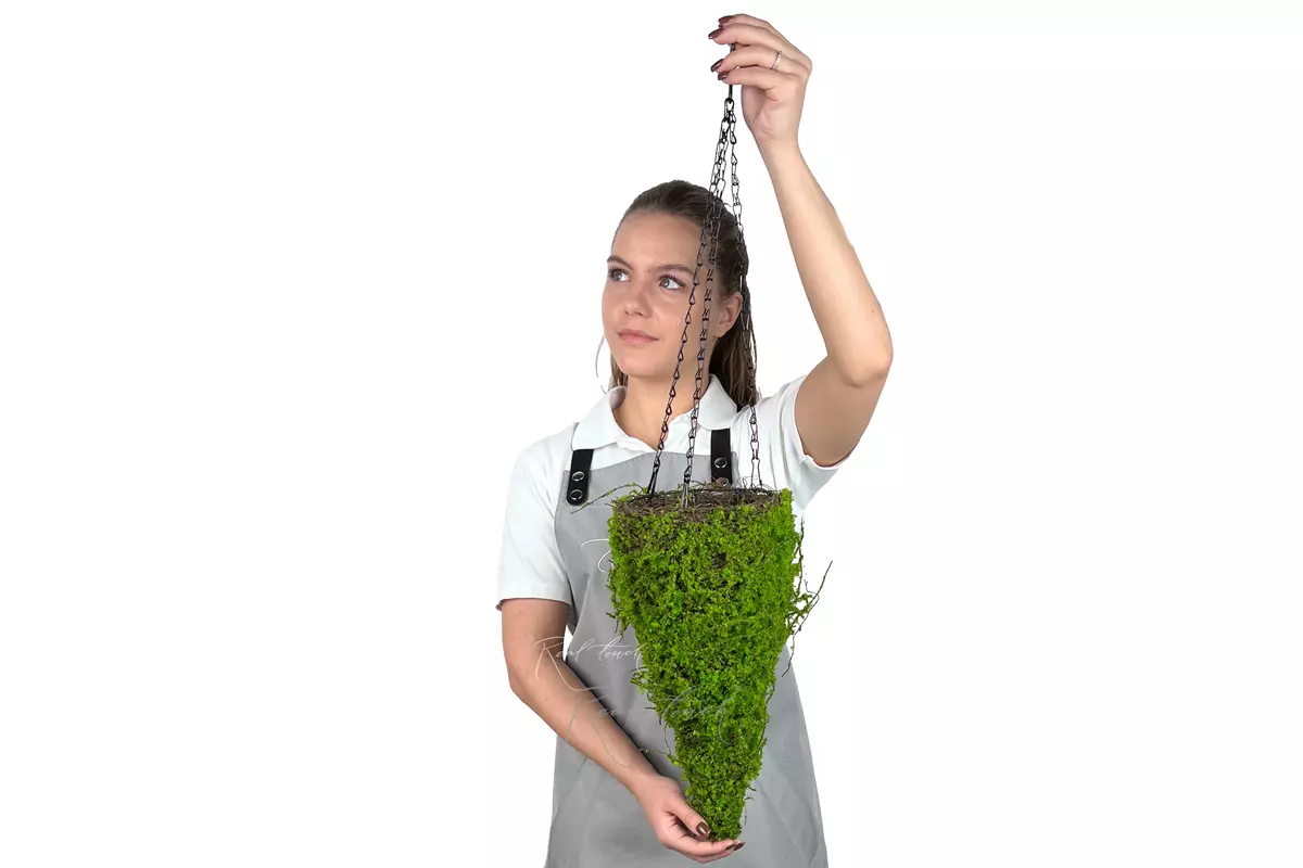 Hanging planter Cone Moss 2# - green