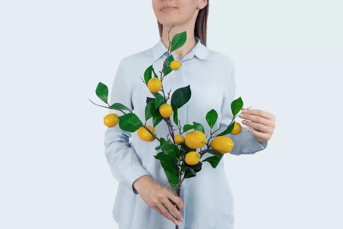 Branch with lemons - yellow