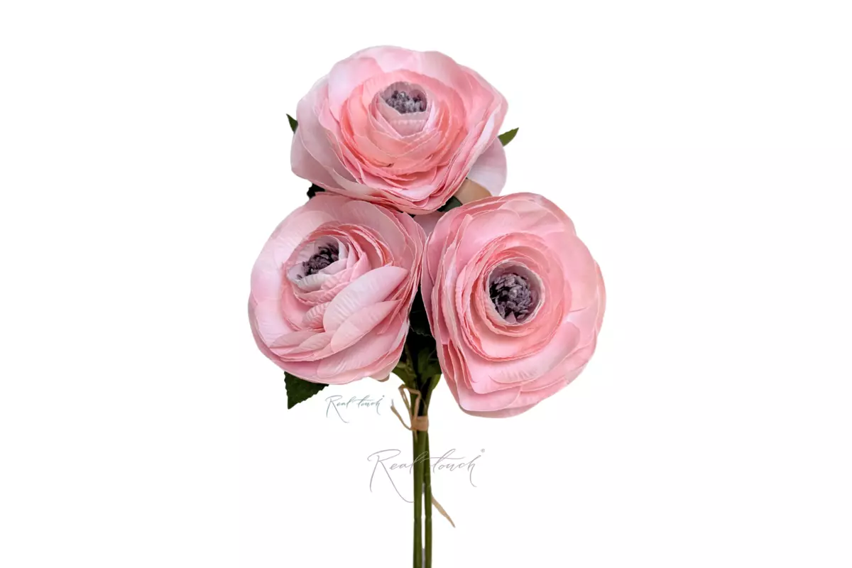 Large Camellia (Japanese) - light pink