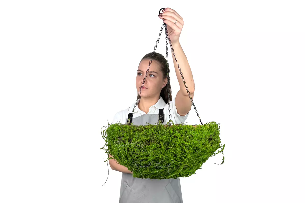 Hanging flowerpot Hemisphere Moss 5# - green