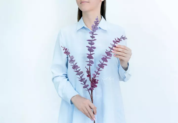 Real Touch Baby Blue Eucalyptus branch - red