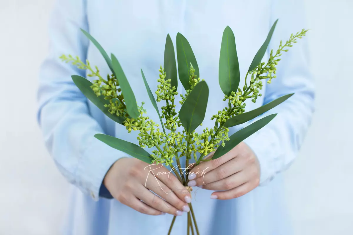 Bunch of populus eucalyptus with berries (4 branches) - green