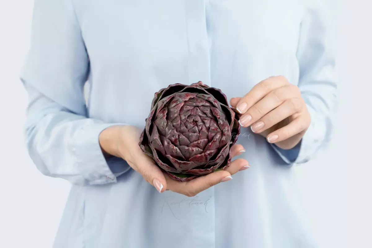 Artichoke round - bordeaux