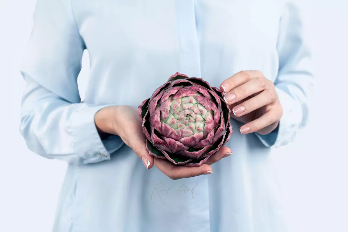 Artichoke round - light purple 