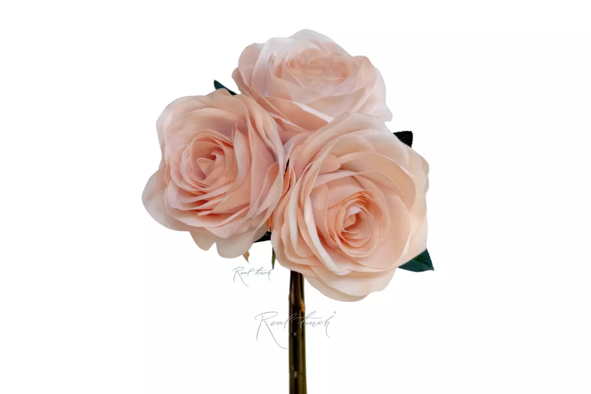Bouquet of 3 Roses - Champagner