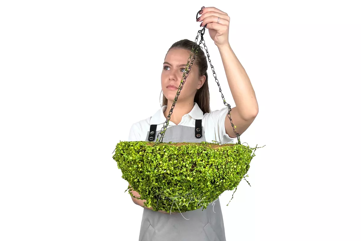 Hanging flowerpot Hemisphere 4# - green
