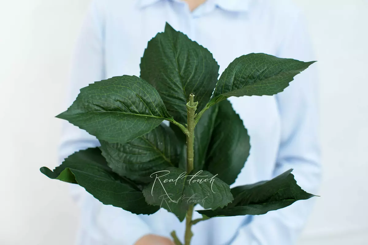 Hydrangea stem 36.6 inches - green