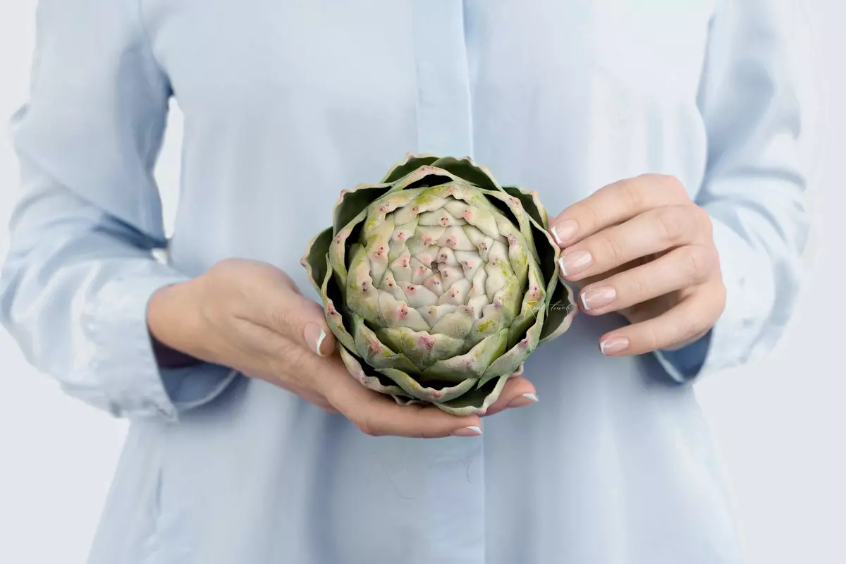 Artichoke round - light green