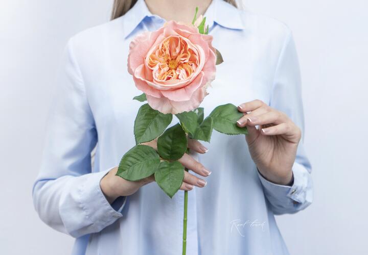 Lubelski Fake Flowers High Simulation Ornamental Realistic Real Touch Rose Silk Artificial Flowers For Hotel Pink