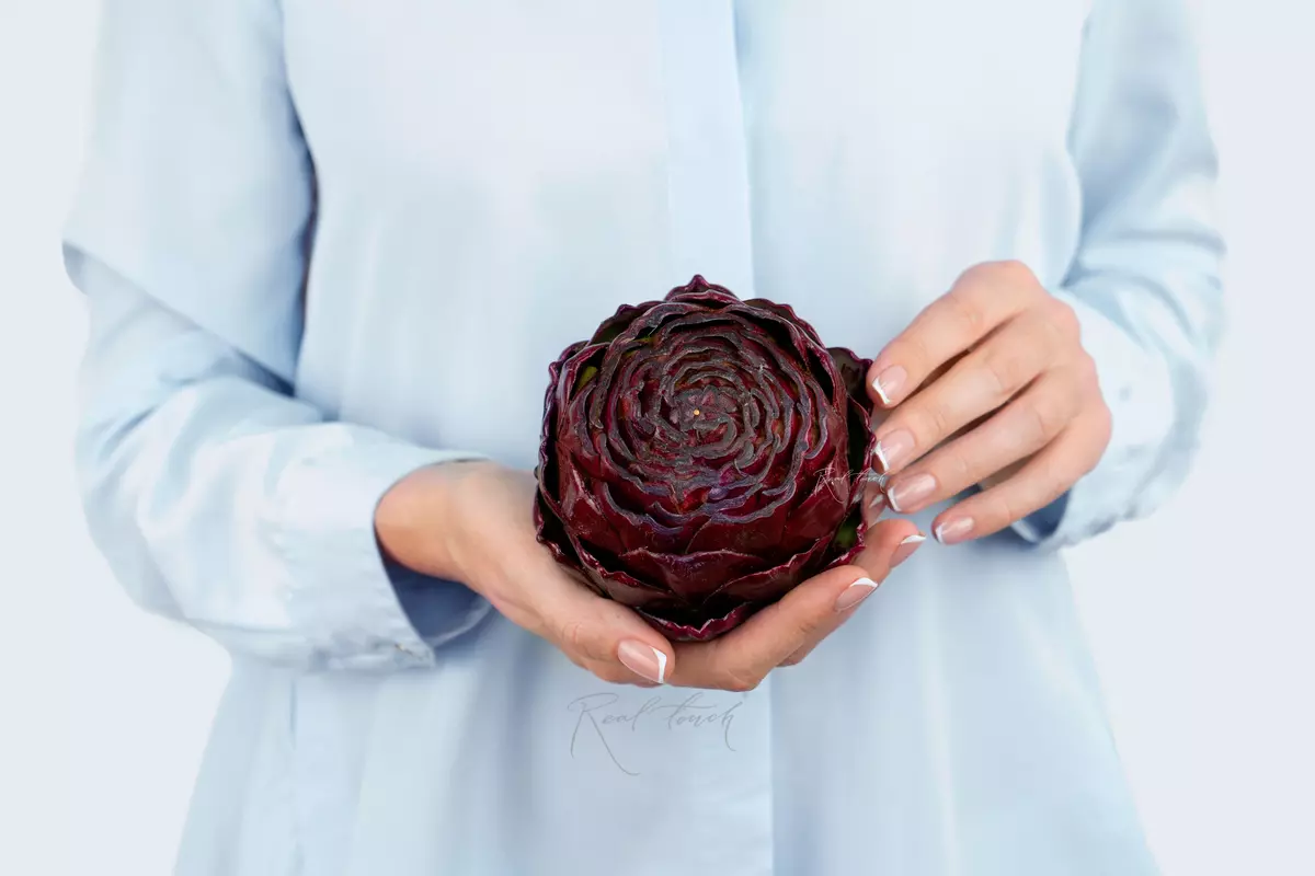 Artichoke Flat - bordeaux