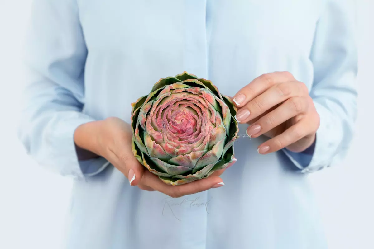 Artichoke Flat - Green pink