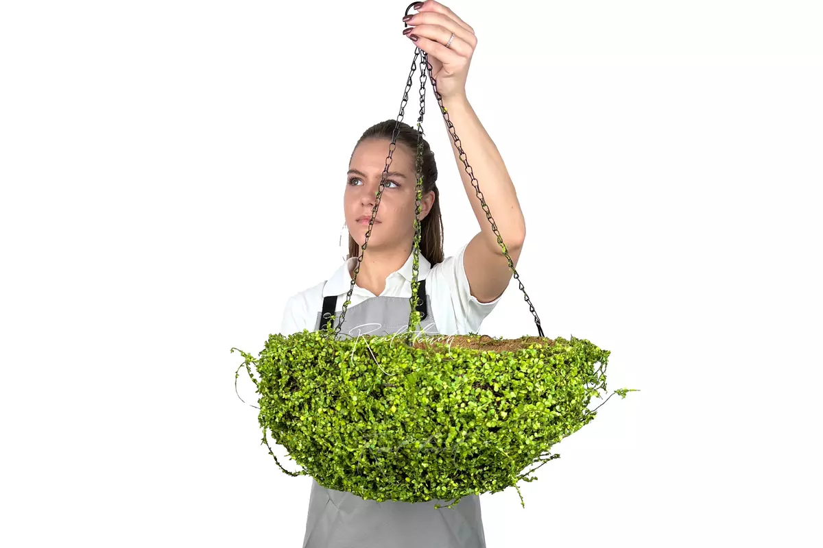 Hanging flowerpot Hemisphere 5# - green