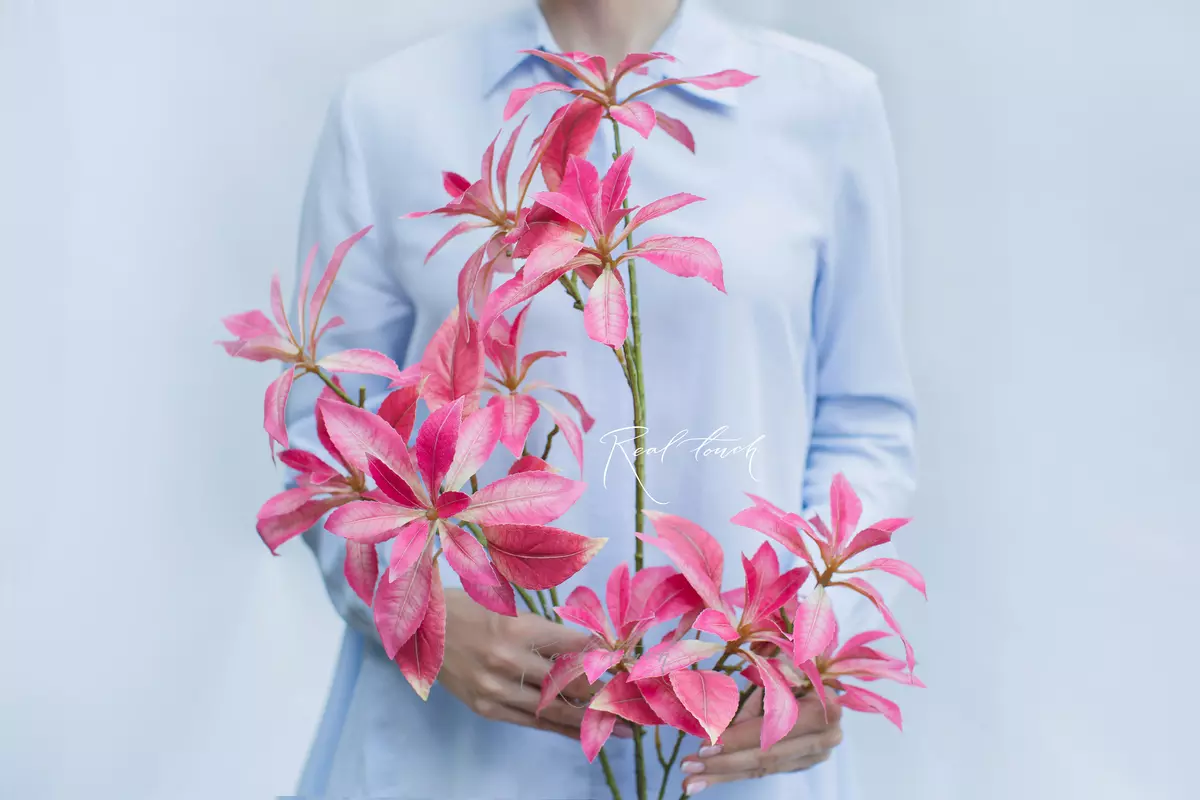 Pieris - Bright pink Pieris - Bright pink