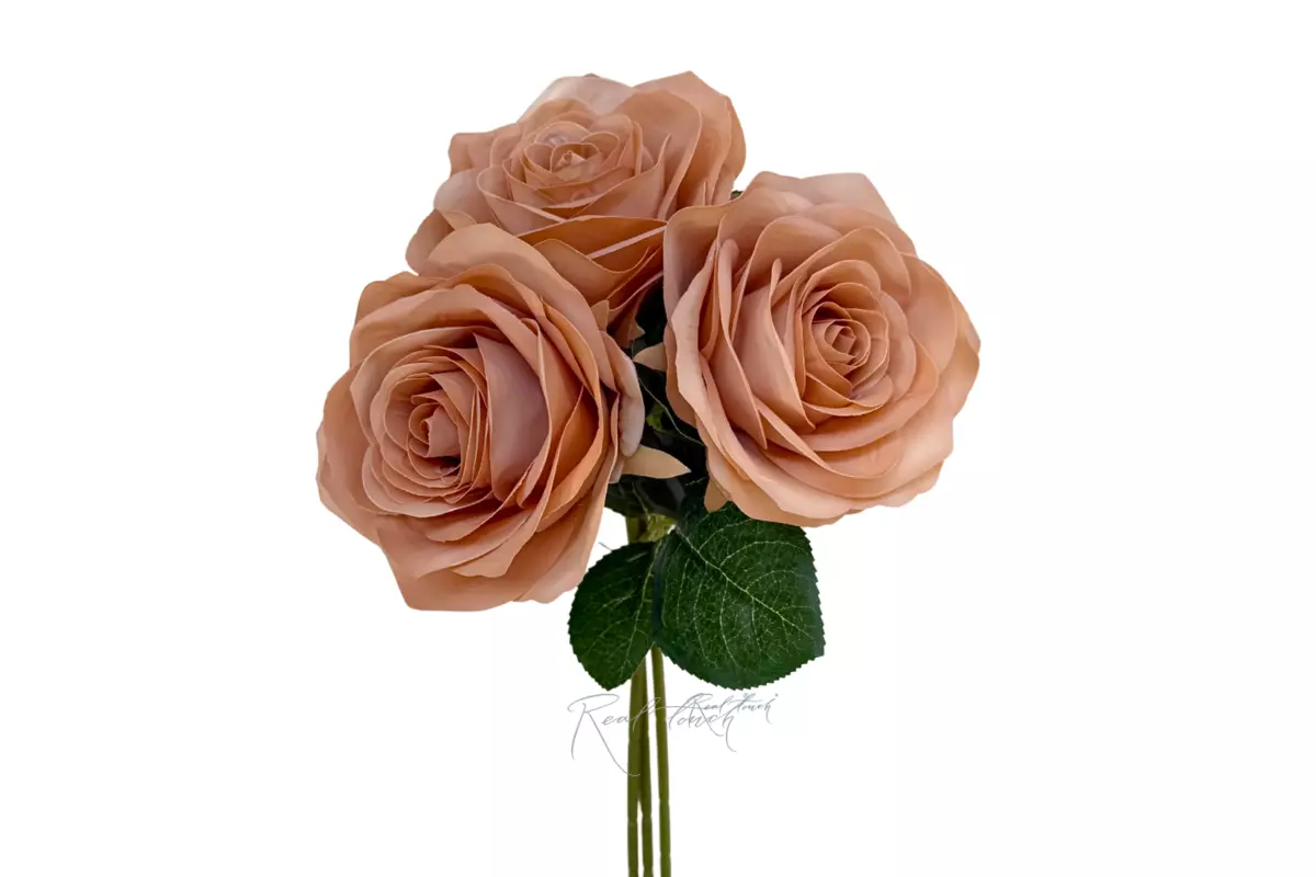 Bouquet of 3 Roses - Coffee