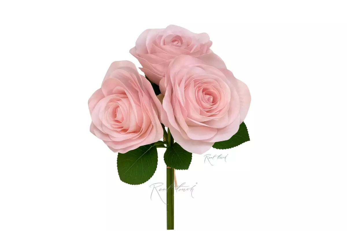 Bouquet of 3 Roses - light pink