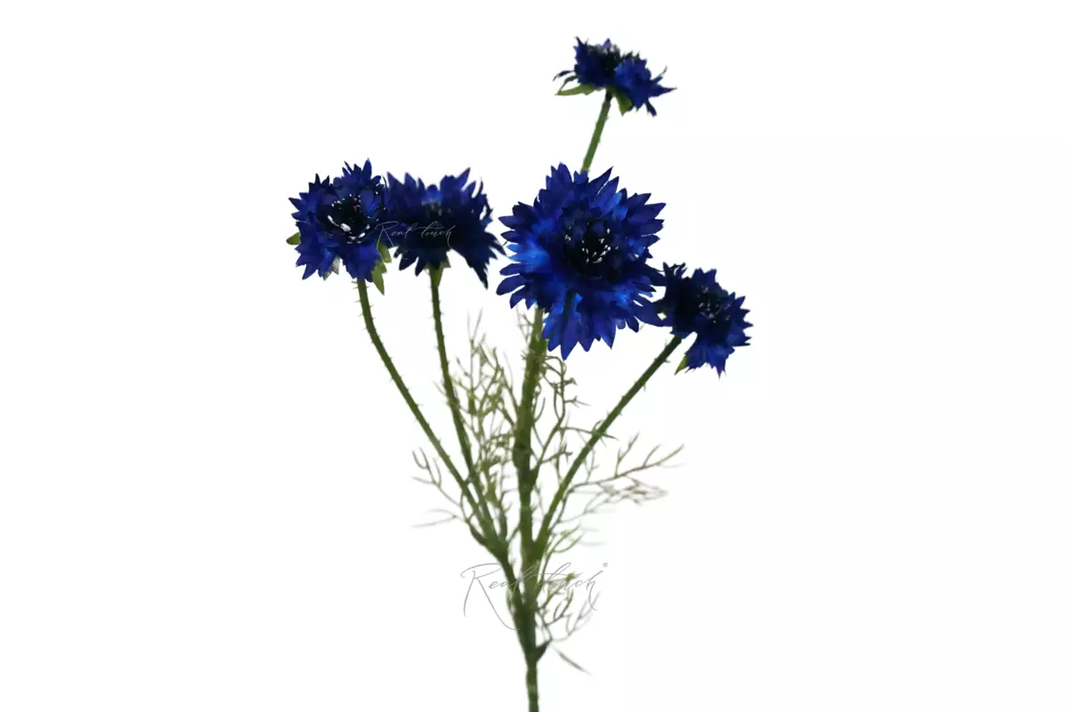 Cornflower branch 56cm (5 inflorescences) - Dark blue