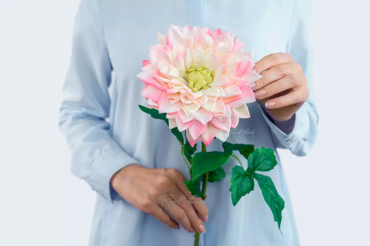Peony - shaped dahlia - peach pink