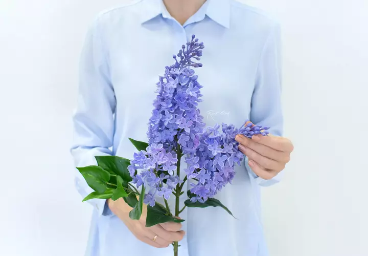 Real Touch Lilac Branch (3 sprays) - purple