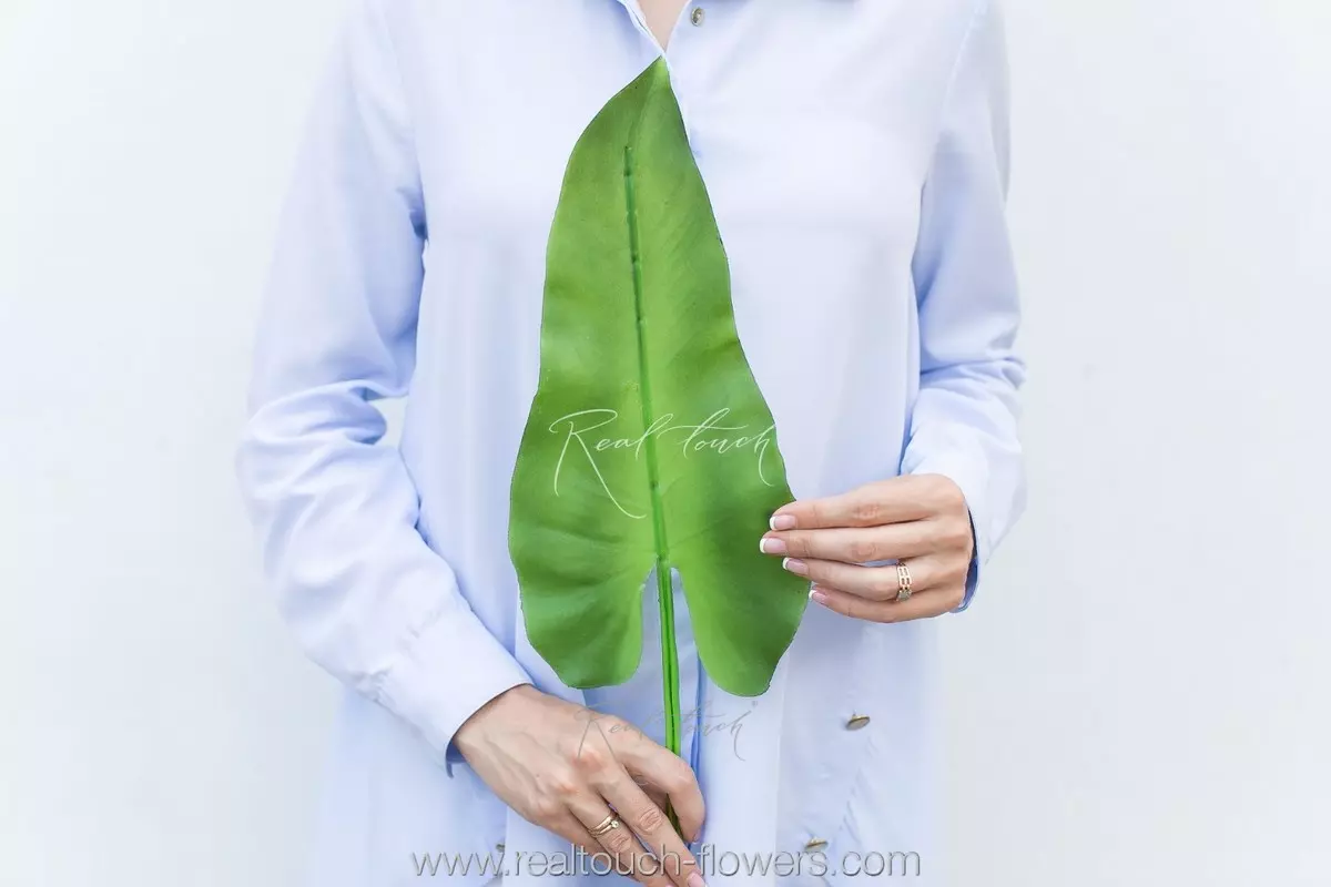 Calla Lily Leaf - green  (special offer)