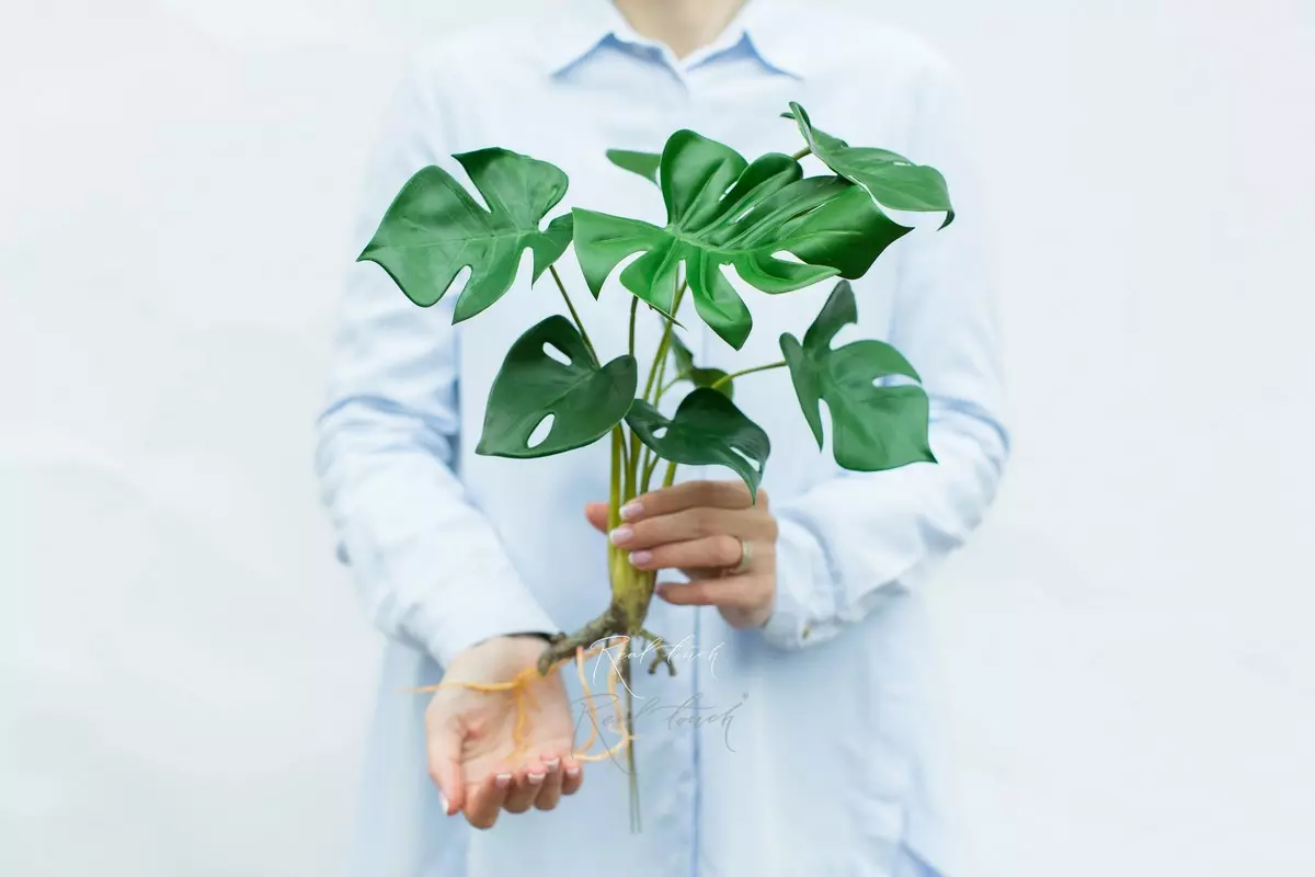 Artificial Monstera bush with 8 small leaves and roots - green Artificial Monstera bush with 8 small leaves and roots - green