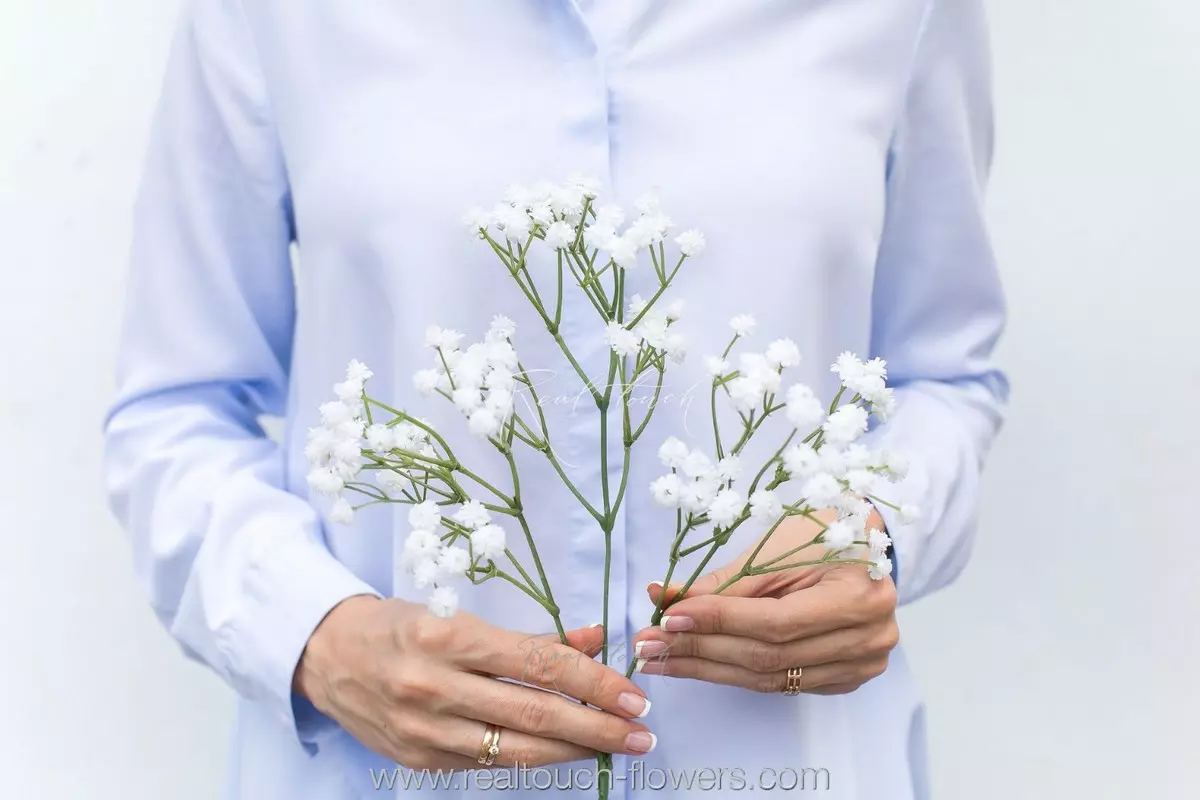 Baby's Breath Gypsophila - white