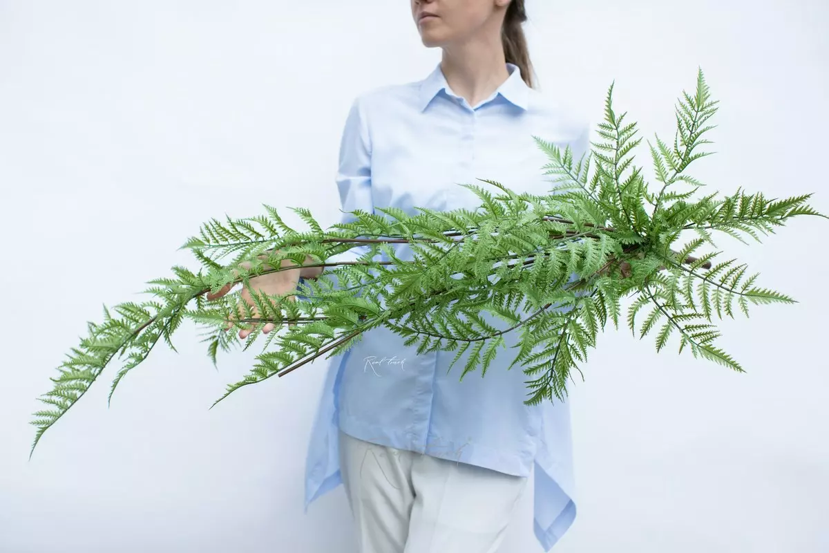 Dryopteris filix-mas extended 112cm - green